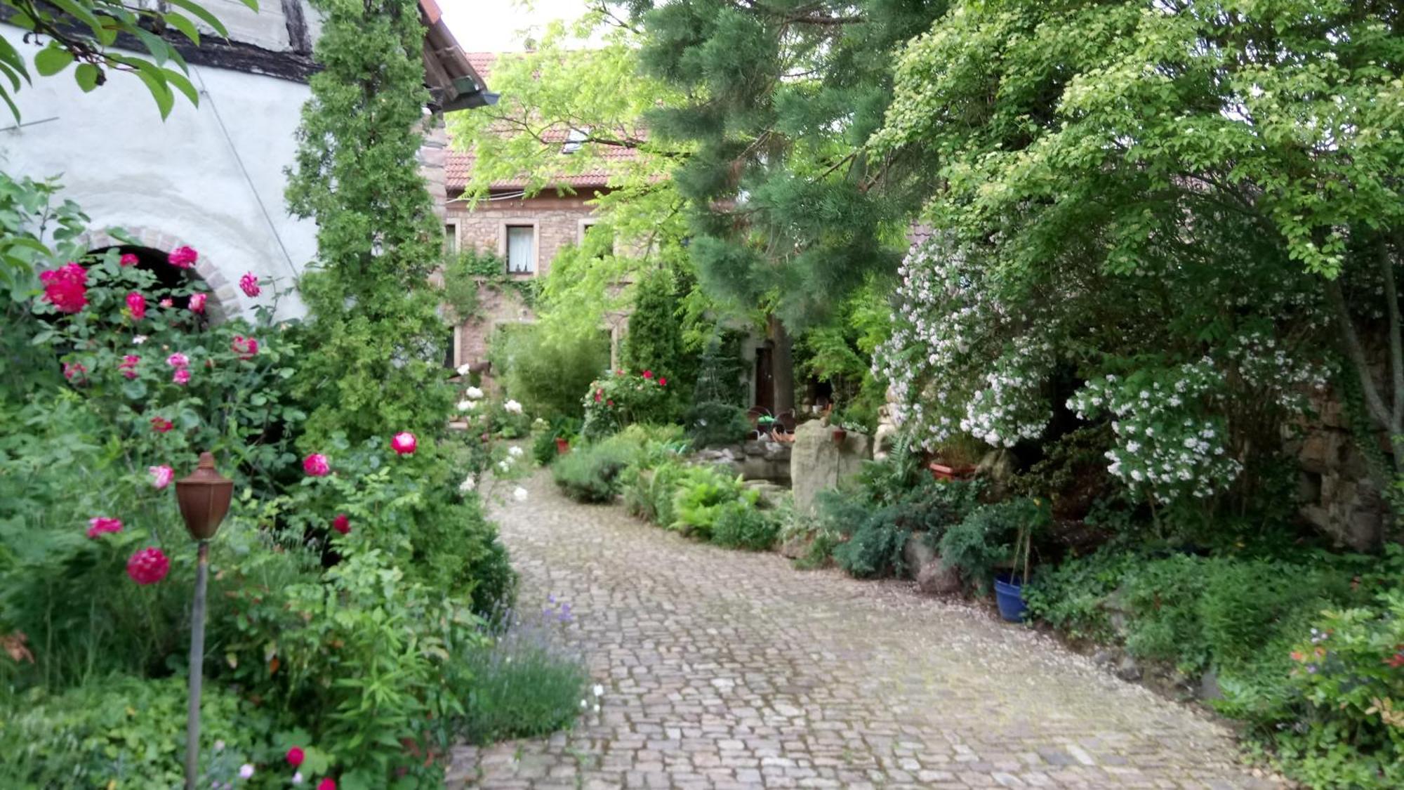 Apartament "El Patio" Am Donnersberg Dannenfels Zewnętrze zdjęcie