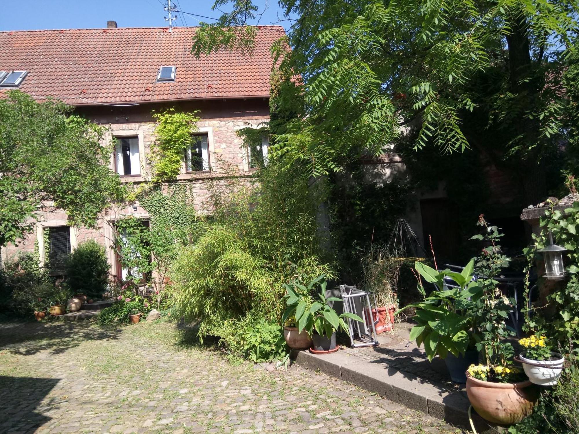Apartament "El Patio" Am Donnersberg Dannenfels Zewnętrze zdjęcie