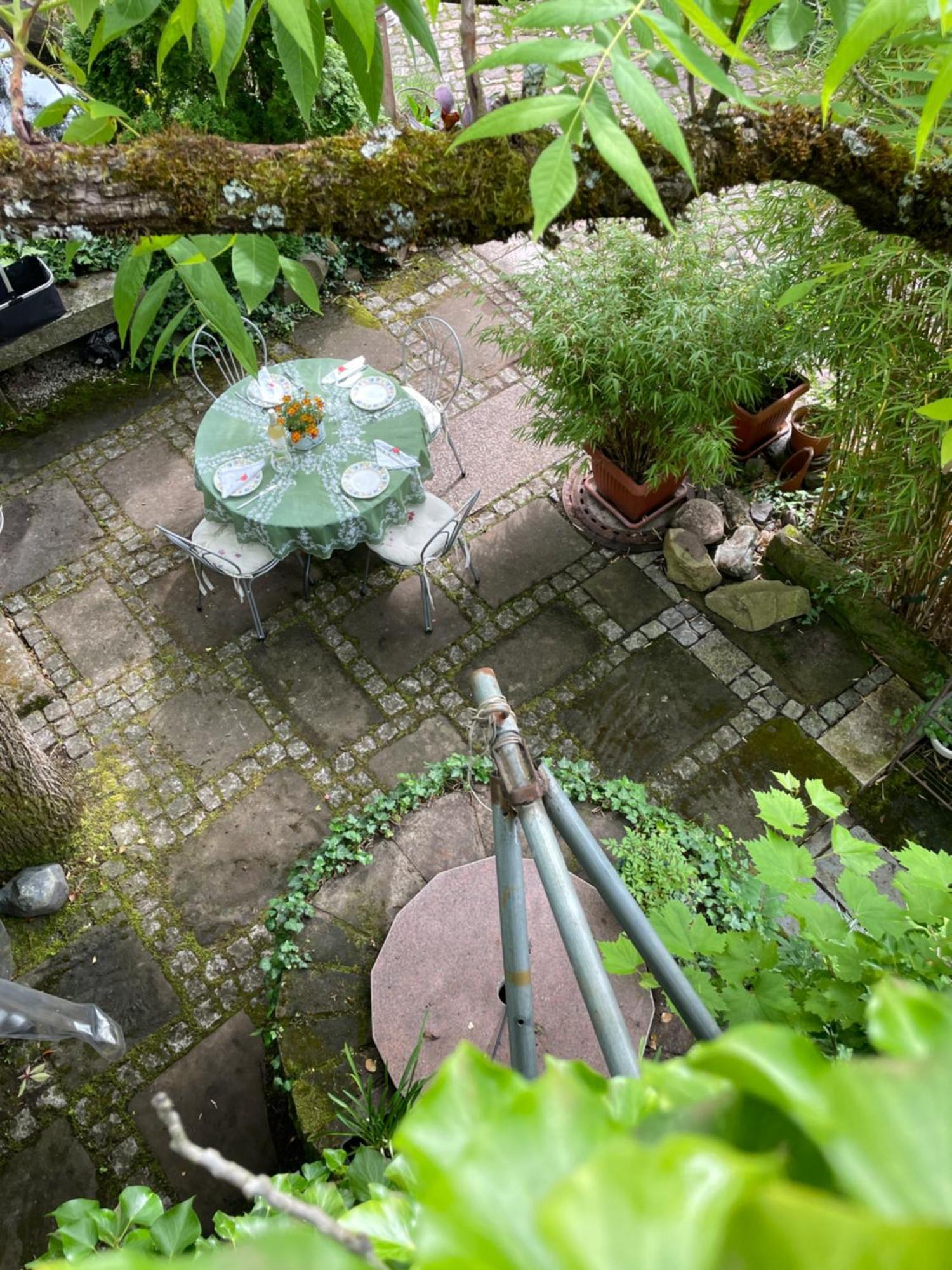 Apartament "El Patio" Am Donnersberg Dannenfels Zewnętrze zdjęcie