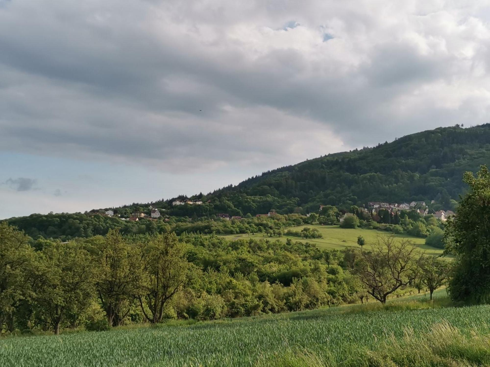 Apartament "El Patio" Am Donnersberg Dannenfels Zewnętrze zdjęcie