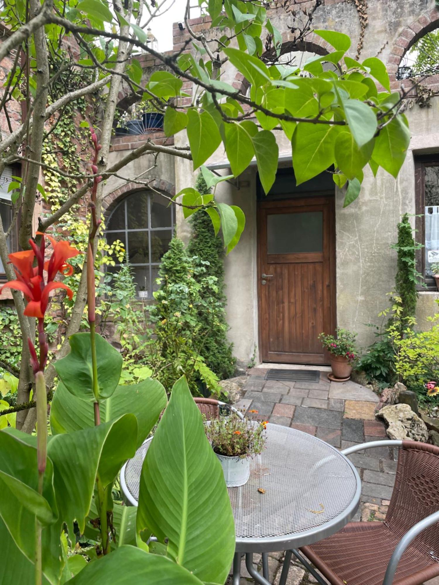 Apartament "El Patio" Am Donnersberg Dannenfels Zewnętrze zdjęcie